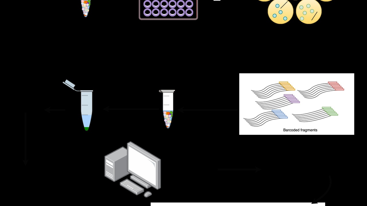 PCR thermocycler next to a sequencing instrument in a molecular biology lab