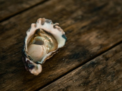 Pacific oyster