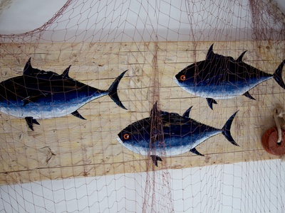 Pelagic fisheries (tuna, wahoo)