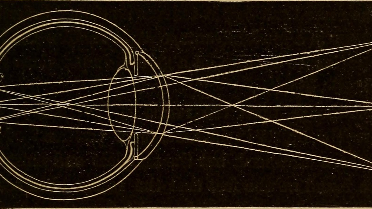 Convex and concave lens cross sections showing light rays