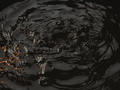 Prestige oil spill