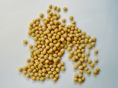 Protein-based bioplastics (soy, pea, wheat)