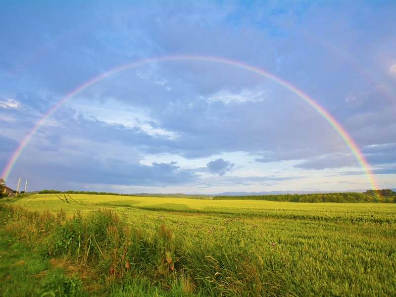 Examples of Weather Phenomena: The Complete List - 33Science