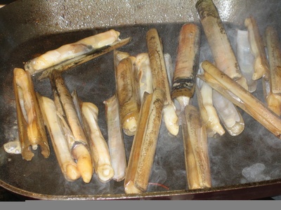 Razor clam