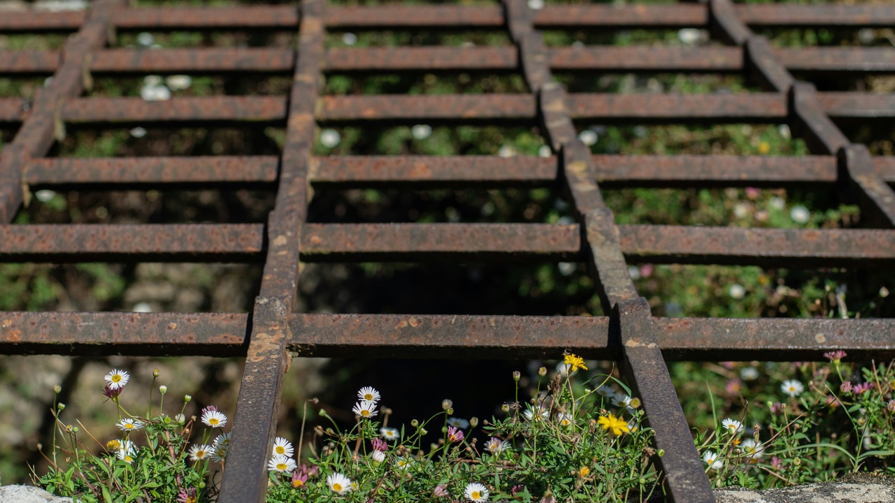 Automated feeder switch isolating a fault to restore service