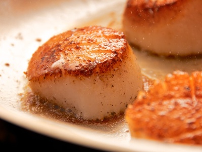 Scallop