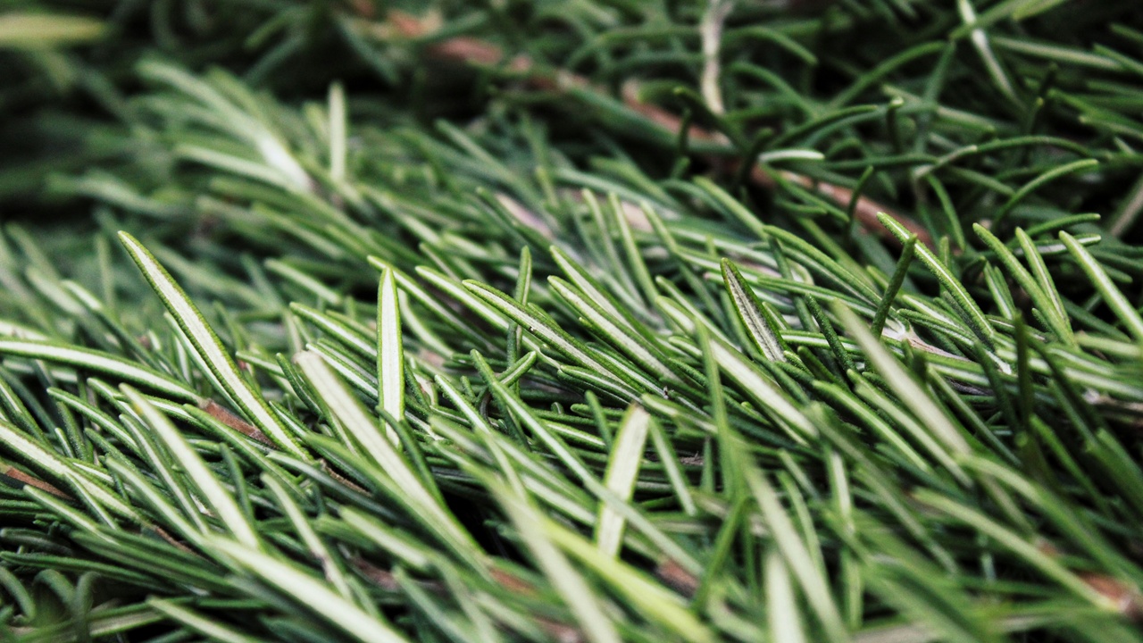 Scientists working in a green chemistry lab with bioreactors and eco-friendly packaging samples.