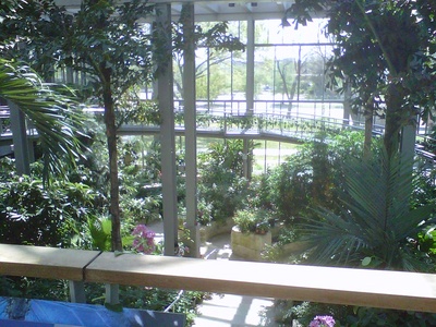 Texas Discovery Gardens