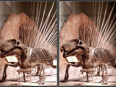 Texas Memorial Museum