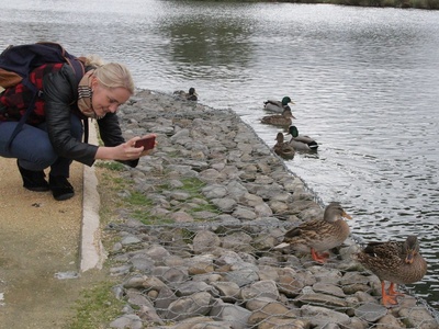 Wetlands and Ramsar sites