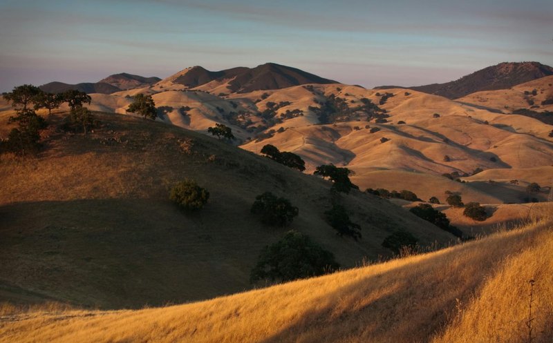 Scenic view of rolling golden hills at sunset in Walnut Creek, California.