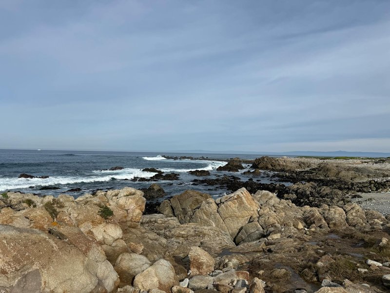 Breathtaking view of the rocky coastline and ocean waves at Asilomar Beach, California.
