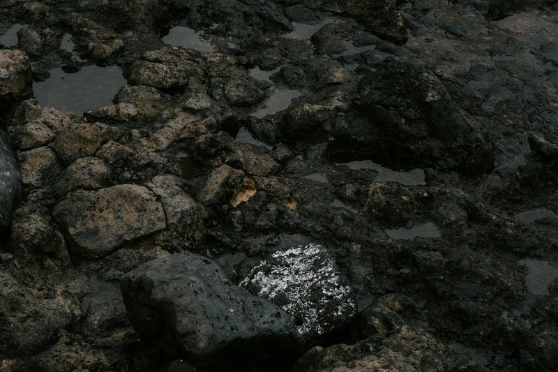 Detailed shot of wet volcanic rocks showing unique textures and colors.