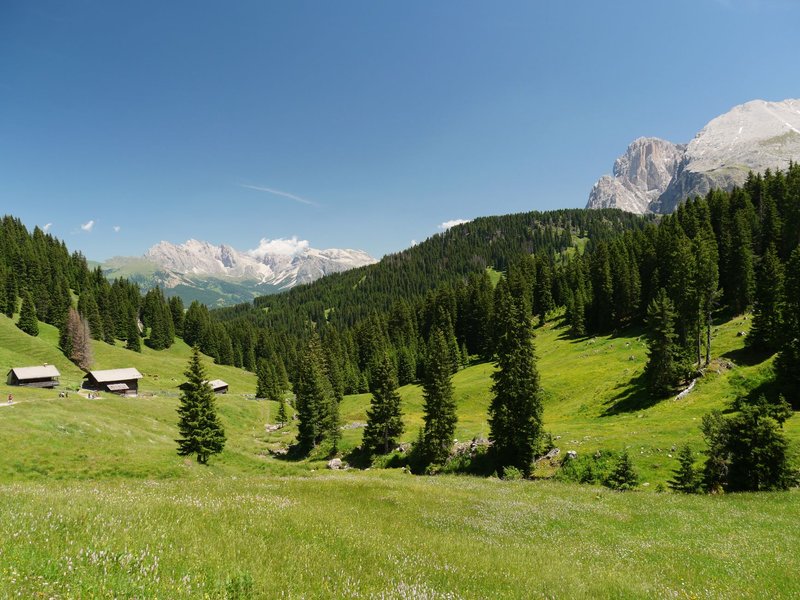 Beautiful landscape featuring Seiser Alm with lush meadows and majestic mountains under a clear blue sky.