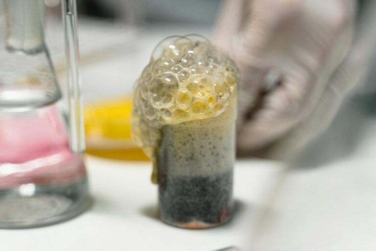 Chemical Reactions Explained (With Everyday Examples) - 33Science