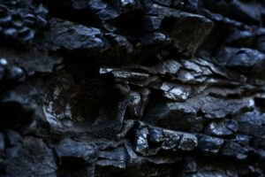Organic Solids Rocks Organic Sedimentary Rocks Explained (With Examples) - 33Science