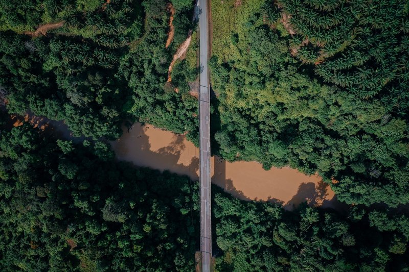 High angle shot of a bridge crossing a murky river surrounded by dense greenery.