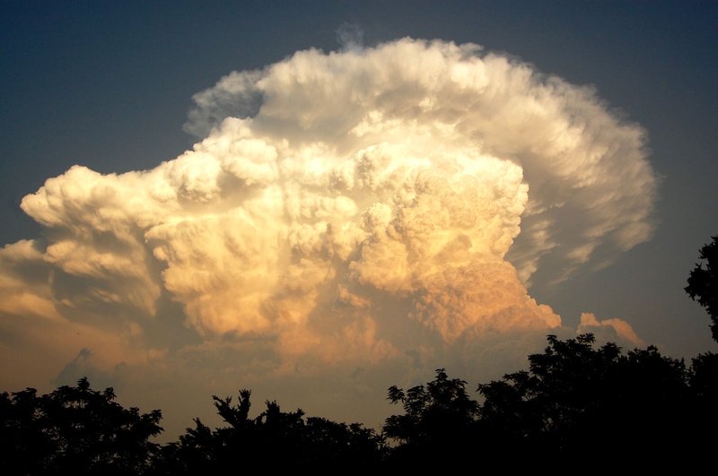 Stunning cumulonimbus cloud towering over silhouetted trees during a dramatic sunset sky.