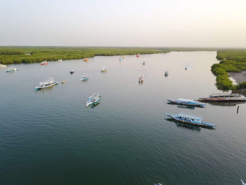 Aerial view of fishing boats on a river in The Gambia surrounded by lush greenery, daytime.