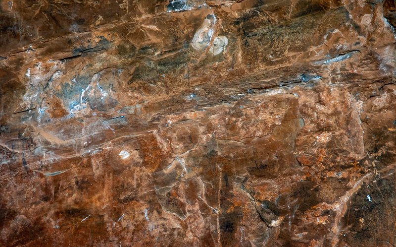 Close-up of a textured rocky cave wall, showcasing natural formations and earthy colors.