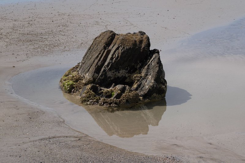 A rugged rock formation emerges from a beach tidal pool with surrounding sandy textures.
