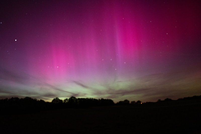 Majestic aurora borealis with vibrant purple hues illuminating the night sky over a silhouetted treeline.