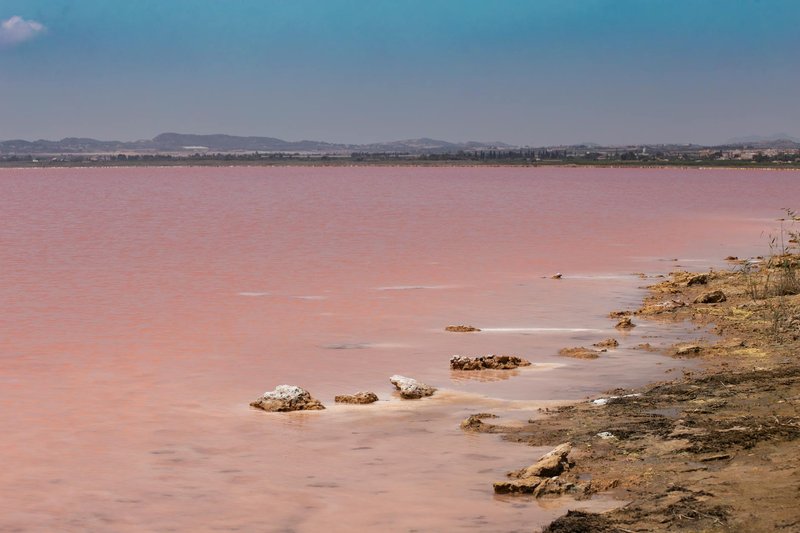 Breathtaking view of the pink salt flats in Torrevieja, Spain during summer.