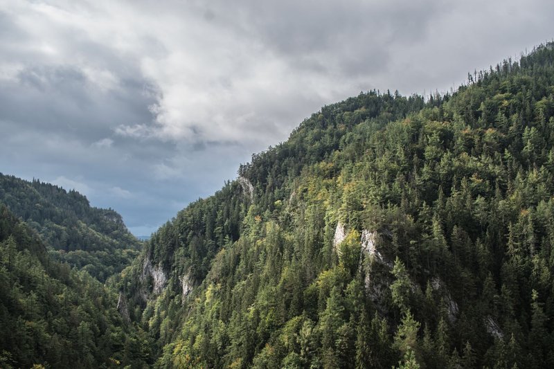 Explore the serene beauty of densely forested mountains under a cloudy sky, showcasing nature's tranquility.