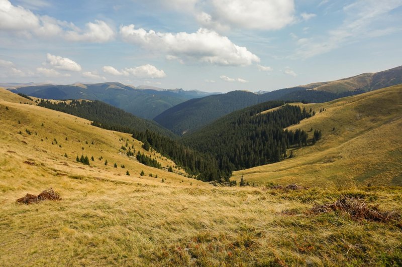 Breathtaking view of rolling hills and lush forests under a vibrant sky, perfect for nature lovers.