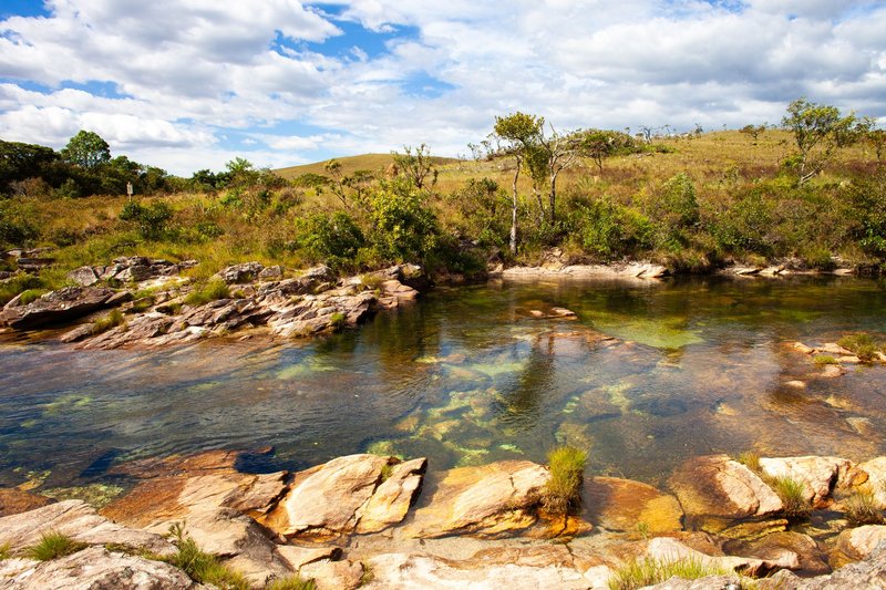 Tranquil river flowing through Brazilian savanna with clear skies and lush greenery.