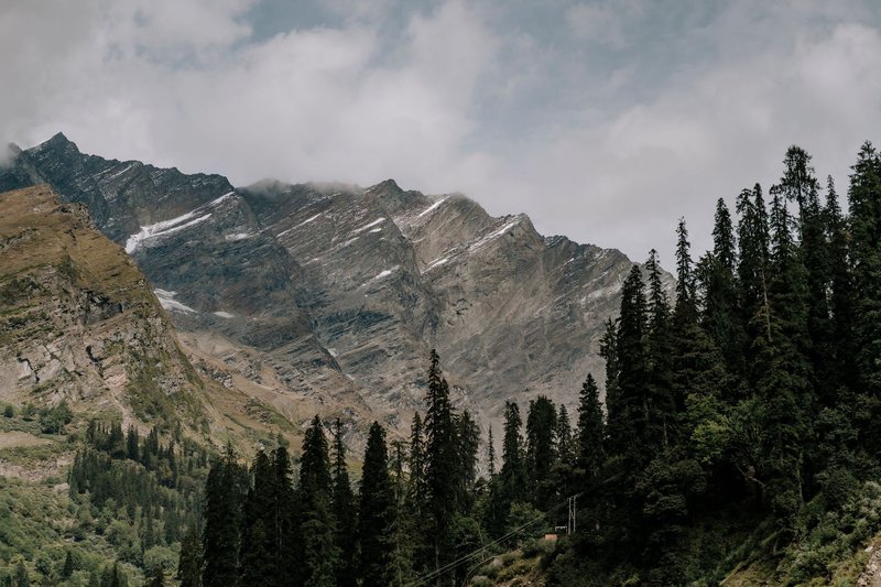 Scenic view of the Himalayan mountains with lush pine forests in Himachal Pradesh.