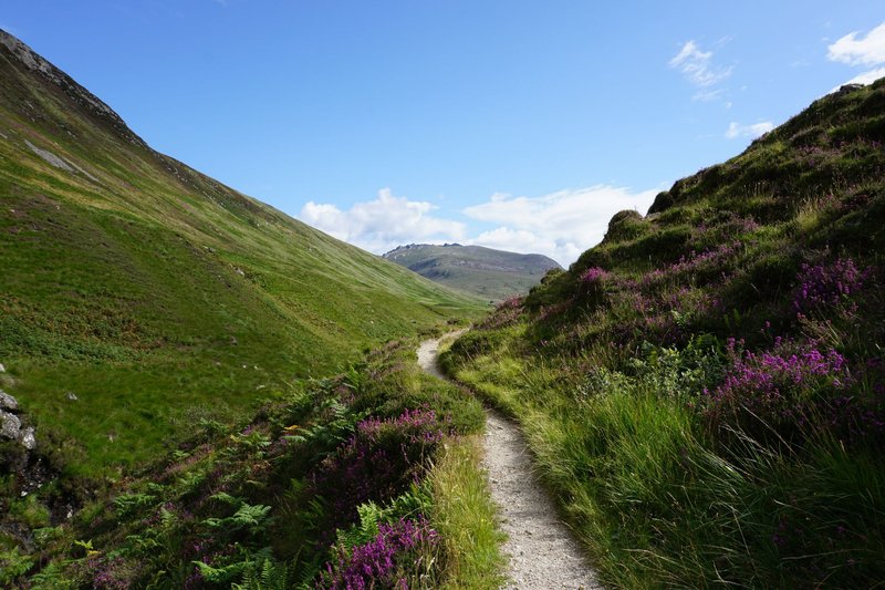 Explore a picturesque hiking trail in Scotland's lush Highland landscape.