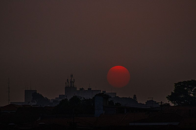 Cityscape with buildings and vegetate under clean sky with bright orange round sun