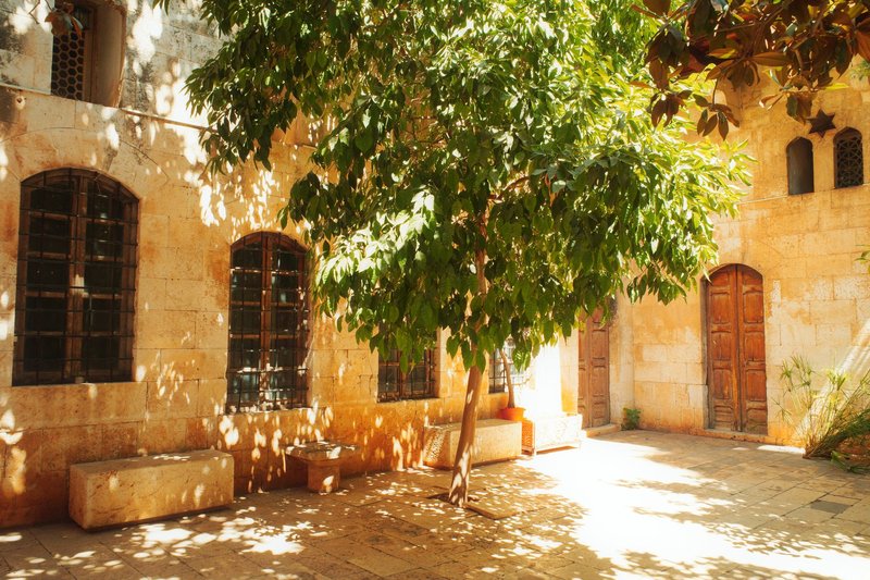 Charming sunlit courtyard with tree and stone walls in Hama, Syria, capturing timeless architecture.