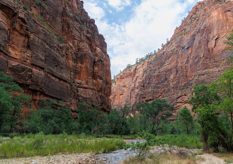 Stunning view of red rock canyons and lush green trees in Zion National Park, Utah.
