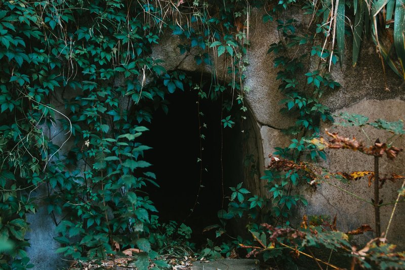 Explore the mysterious overgrown cave entrance enveloped in lush greenery, evoking a sense of adventure.