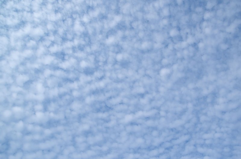 Peaceful view of the blue sky filled with cumulus clouds creating a soft pattern.