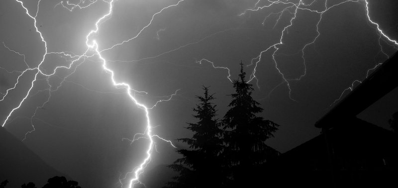 A powerful and dramatic display of lightning during a night thunderstorm over pine trees.