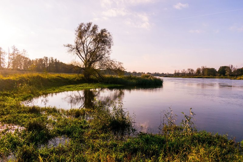 Tranquil riverside scene with lush green grass, trees, and peaceful reflections in the water.