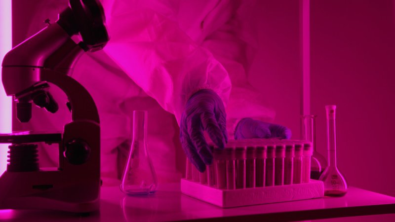 Scientist in a lab coat handling test tubes under pink lighting, using a microscope.
