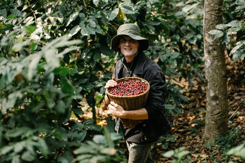 Positive male with wicker basket full of collected coffee berries looking at camera while standing in forest with green trees