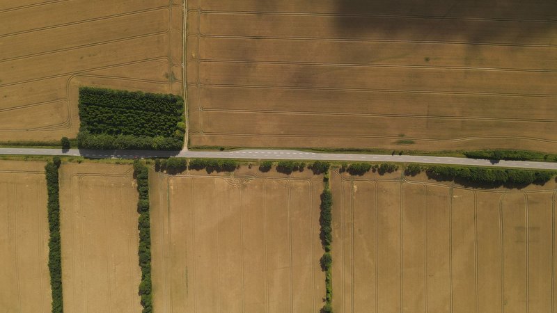 Aerial perspective of expansive countryside croplands and road in Rask Mølle, Denmark.