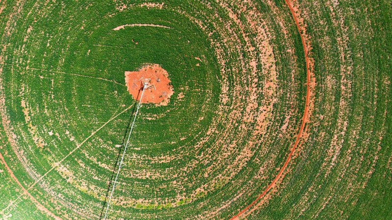Drone shot of a green circular crop field with central irrigation system.
