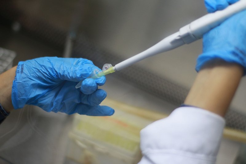 Close-up of a scientist using a pipette in a laboratory, highlighting precision work with blue gloves.