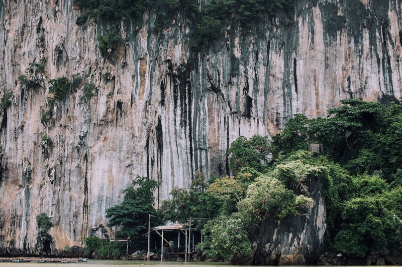 Majestic limestone cliffs showcasing erosion patterns surrounded by lush greenery.