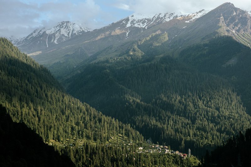 A beautiful mountain valley with dense pine forests and snow-capped peaks under a clear sky.