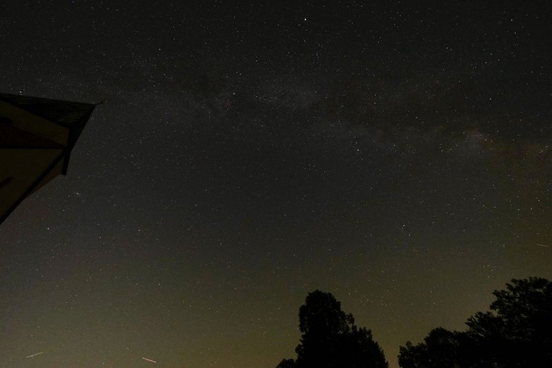 A stunning view of the starry night sky showcasing the Milky Way above silhouettes of trees.