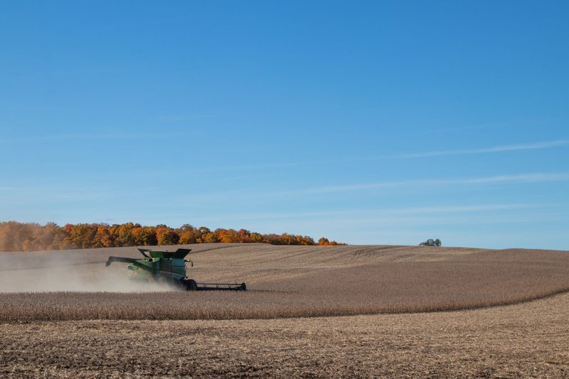Combine harvester working in an autumn soybean field under a clear blue sky.