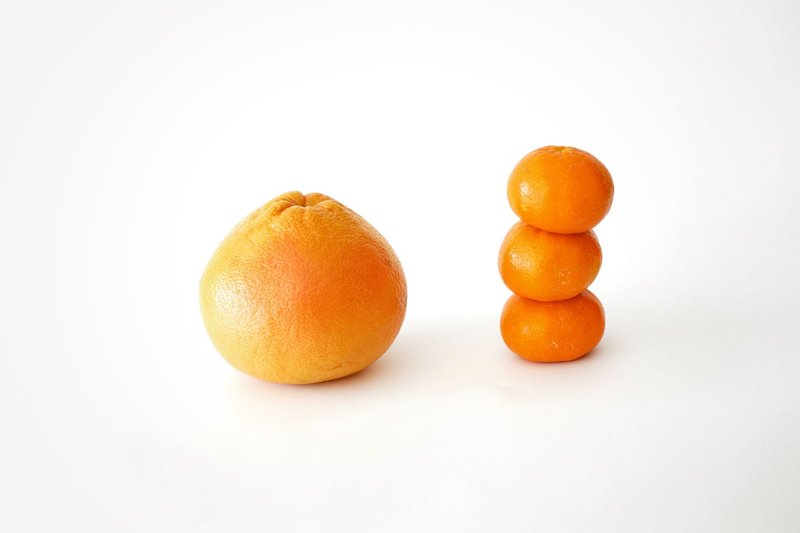 Close-up of a grapefruit beside stacked oranges, isolated on white, studio shot.
