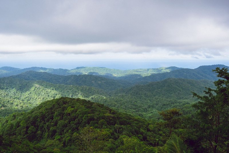 Lush green mountains under cloudy skies in Blanchisseuse, Trinidad and Tobago.